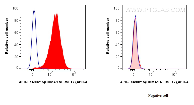 FC experiment of U266 using APC-FcA98215
