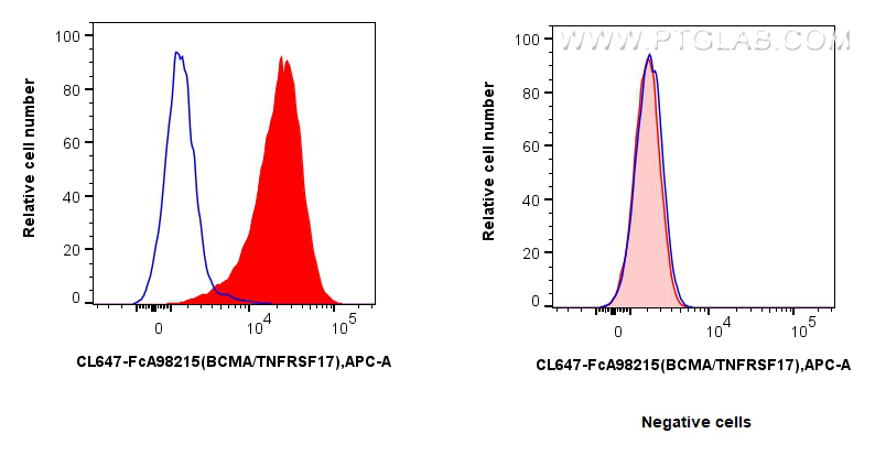 FC experiment of U266 using CL647-FcA98215