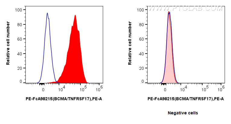 FC experiment of U266 using PE-FcA98215