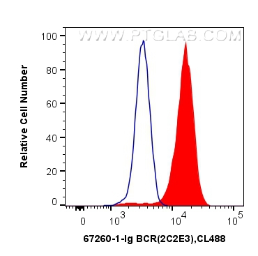 FC experiment of K-562 using 67260-1-Ig (same clone as 67260-1-PBS)