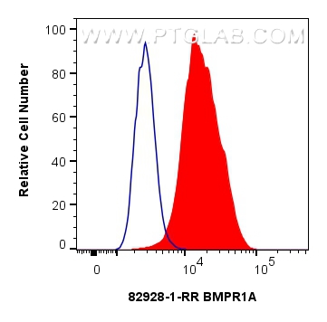 FC experiment of MCF-7 using 82928-1-RR (same clone as 82928-1-PBS)