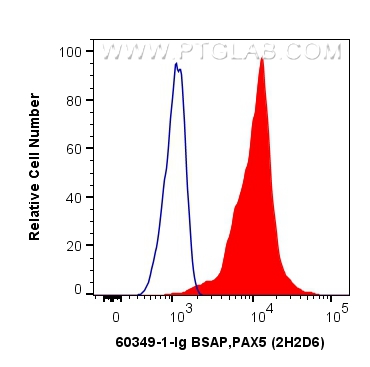 FC experiment of Ramos using 60349-1-Ig (same clone as 60349-1-PBS)