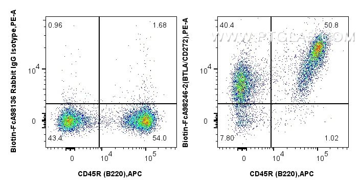 FC experiment of mouse splenocytes using Biotin-FcA98246-2