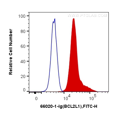 FC experiment of HeLa using 66020-1-Ig