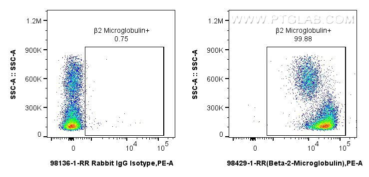 FC experiment of rat bone marrow cells using 98429-1-RR (same clone as 98429-1-PBS)