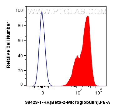 FC experiment of rat bone marrow cells using 98429-1-RR (same clone as 98429-1-PBS)