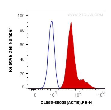 FC experiment of HeLa using CL555-66009