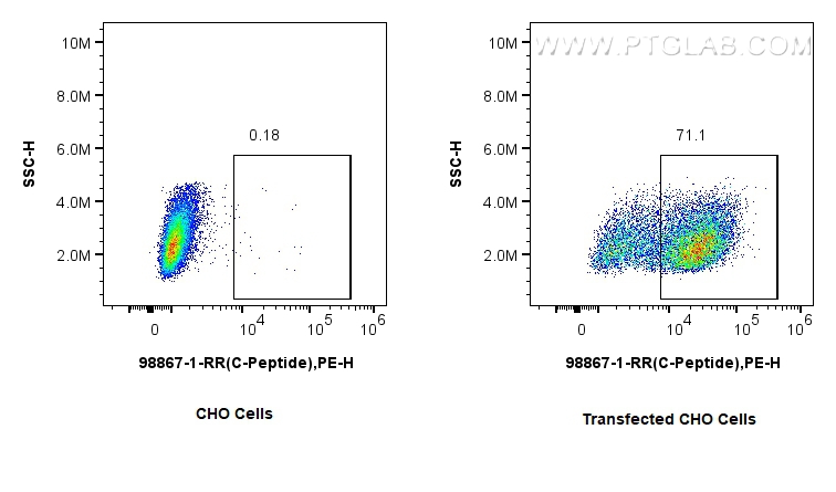 FC experiment of Transfected CHO using 98867-1-RR FC experiment of Transfected CHO using 98867-1-RR