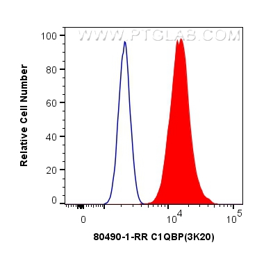 FC experiment of HeLa using 80490-1-RR (same clone as 80490-1-PBS)