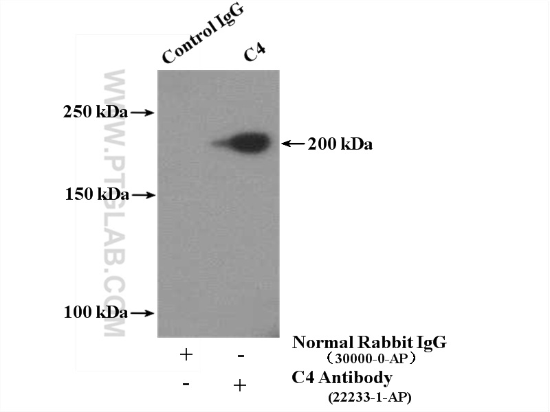 IP experiment of L02 using 22233-1-AP