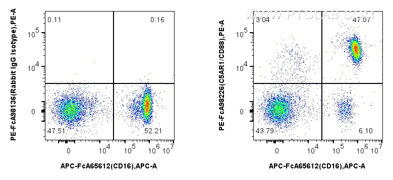 FC experiment of human peripheral blood leukocyte using PE-FcA98226