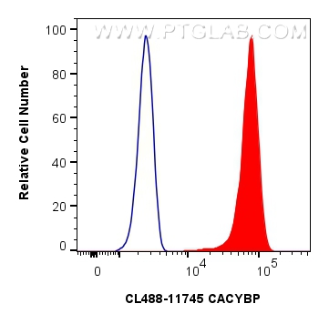 FC experiment of HEK-293 using CL488-11745