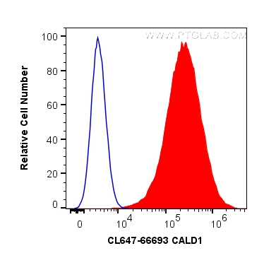FC experiment of HeLa using CL647-66693
