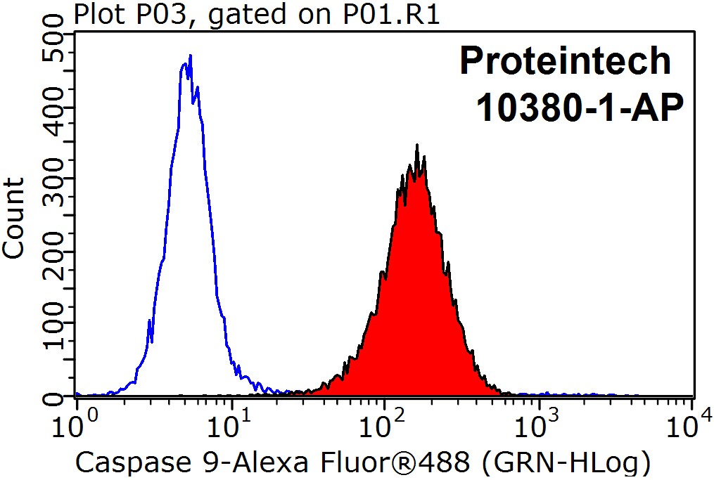 Caspase 9/p35/p10