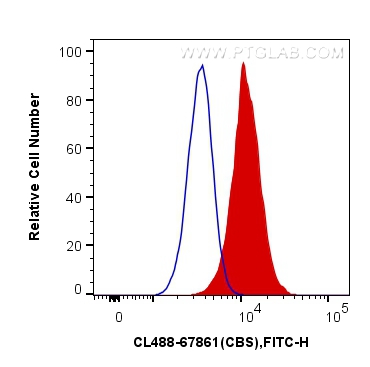 FC experiment of HeLa using CL488-67861