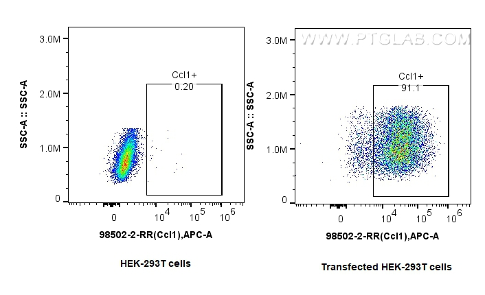 FC experiment of Transfected HEK-293T using 98502-2-RR