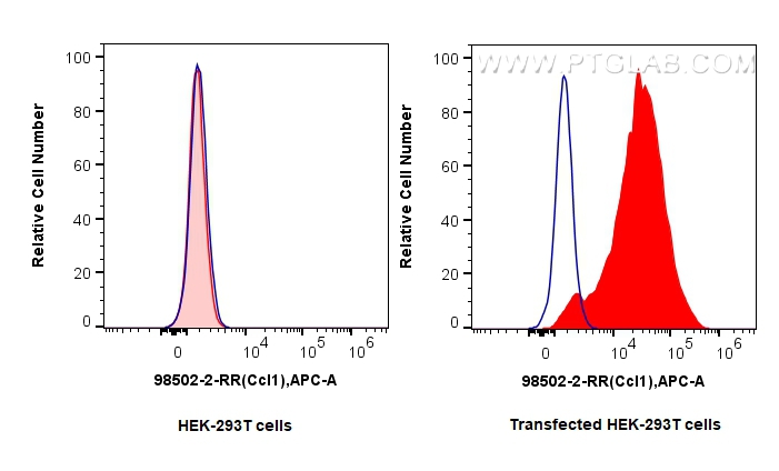FC experiment of Transfected HEK-293T using 98502-2-RR