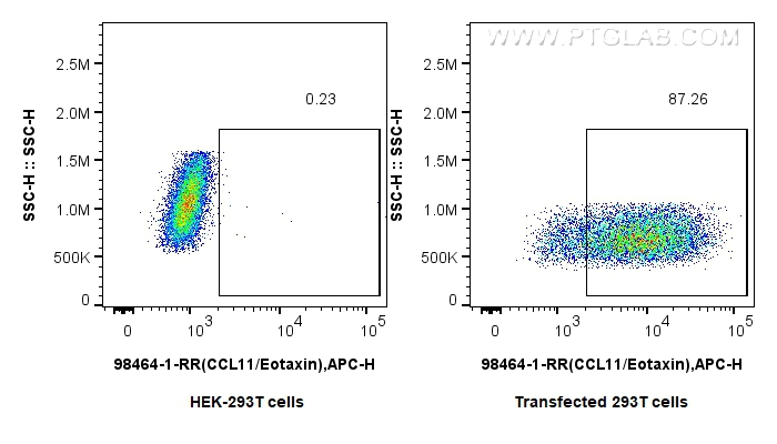 FC experiment of Transfected HEK-293T using 98464-1-RR (same clone as 98464-1-PBS)