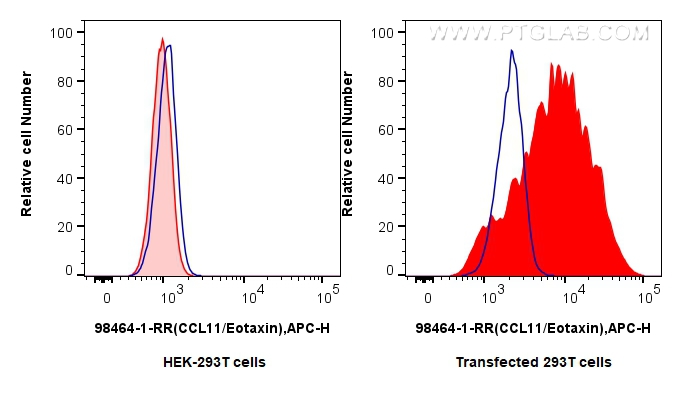 FC experiment of Transfected HEK-293T using 98464-1-RR (same clone as 98464-1-PBS)