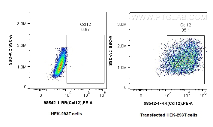 FC experiment of Transfected HEK-293T using 98542-1-RR FC experiment of Transfected HEK-293T using 98542-1-RR
