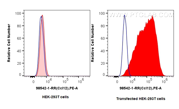 FC experiment of Transfected HEK-293T using 98542-1-RR FC experiment of Transfected HEK-293T using 98542-1-RR