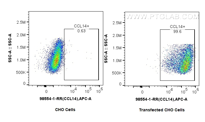 FC experiment of Transfected CHO using 98554-1-RR (same clone as 98554-1-PBS) FC experiment of Transfected CHO using 98554-1-RR (same clone as 98554-1-PBS)