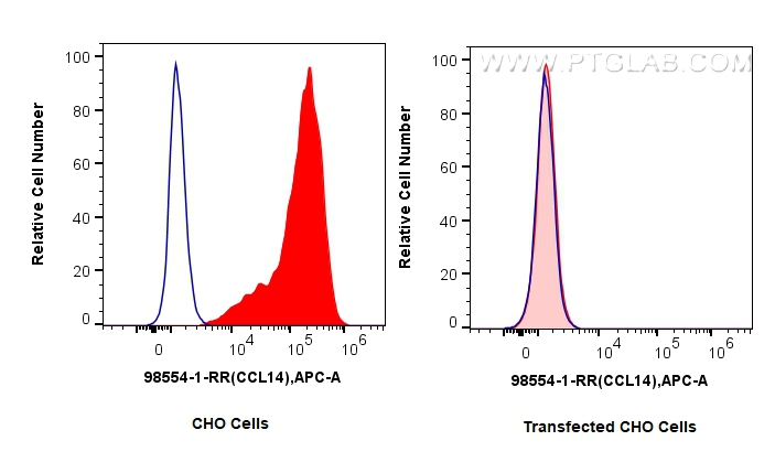 FC experiment of Transfected CHO using 98554-1-RR (same clone as 98554-1-PBS) FC experiment of Transfected CHO using 98554-1-RR (same clone as 98554-1-PBS)