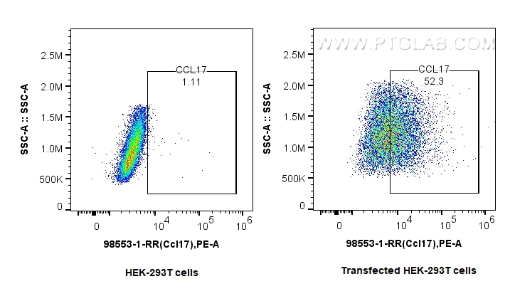 FC experiment of Transfected HEK-293T using 98553-1-RR (same clone as 98553-1-PBS)
