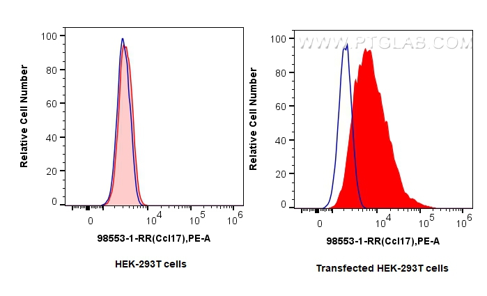 FC experiment of Transfected HEK-293T using 98553-1-RR (same clone as 98553-1-PBS)