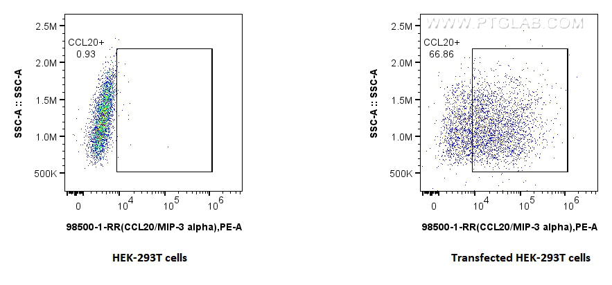 FC experiment of Transfected HEK-293T using 98500-1-RR FC experiment of Transfected HEK-293T using 98500-1-RR