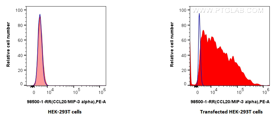 FC experiment of Transfected HEK-293T using 98500-1-RR FC experiment of Transfected HEK-293T using 98500-1-RR