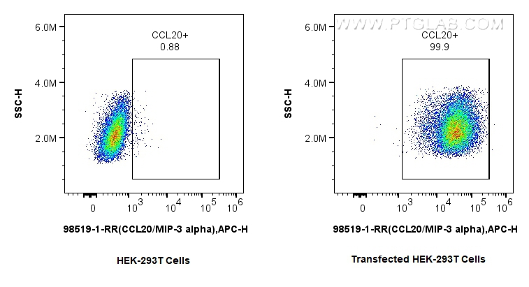 FC experiment of Transfected HEK-293T using 98519-1-RR (same clone as 98519-1-PBS) FC experiment of Transfected HEK-293T using 98519-1-RR (same clone as 98519-1-PBS)