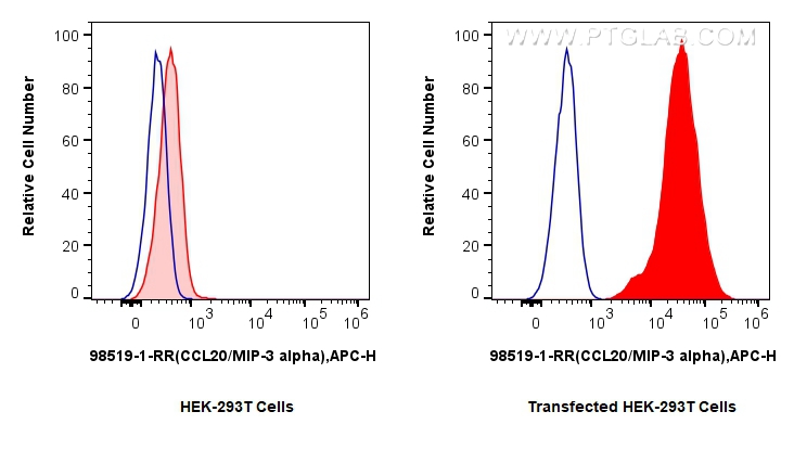 FC experiment of Transfected HEK-293T using 98519-1-RR (same clone as 98519-1-PBS) FC experiment of Transfected HEK-293T using 98519-1-RR (same clone as 98519-1-PBS)