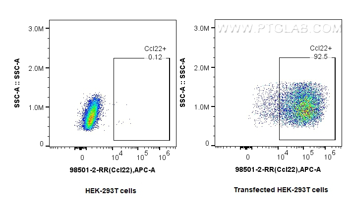 FC experiment of Transfected HEK-293T using 98501-2-RR