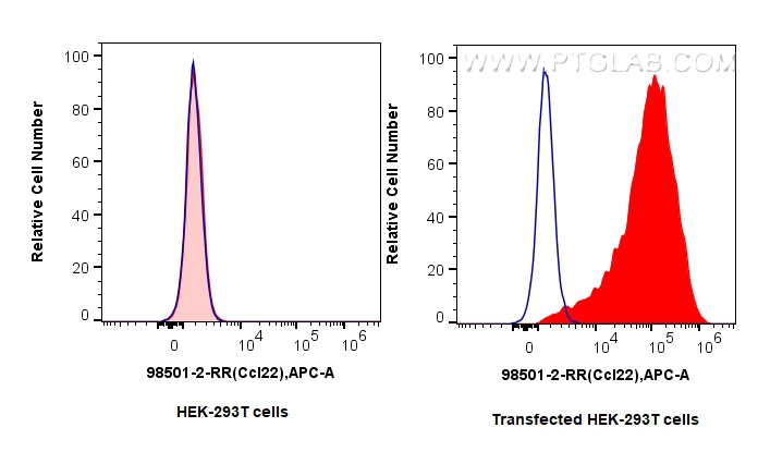FC experiment of Transfected HEK-293T using 98501-2-RR