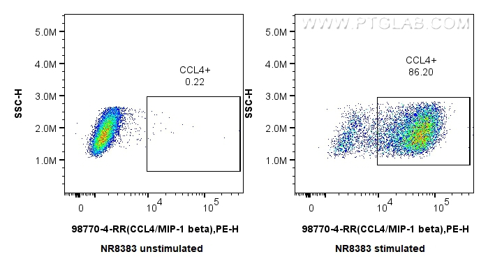 FC experiment of NR8383 using 98770-4-RR (same clone as 98770-4-PBS)