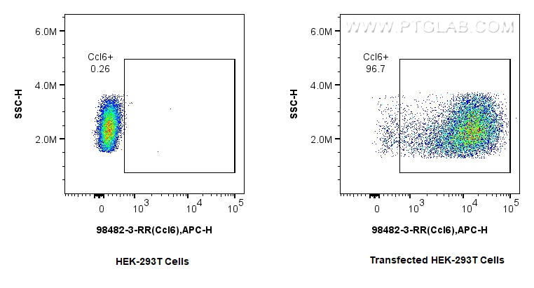 FC experiment of Transfected HEK-293T using 98482-3-RR (same clone as 98482-3-PBS) FC experiment of Transfected HEK-293T using 98482-3-RR (same clone as 98482-3-PBS)