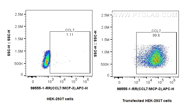 FC experiment of Transfected HEK-293T using 98555-1-RR (same clone as 98555-1-PBS) FC experiment of Transfected HEK-293T using 98555-1-RR (same clone as 98555-1-PBS)