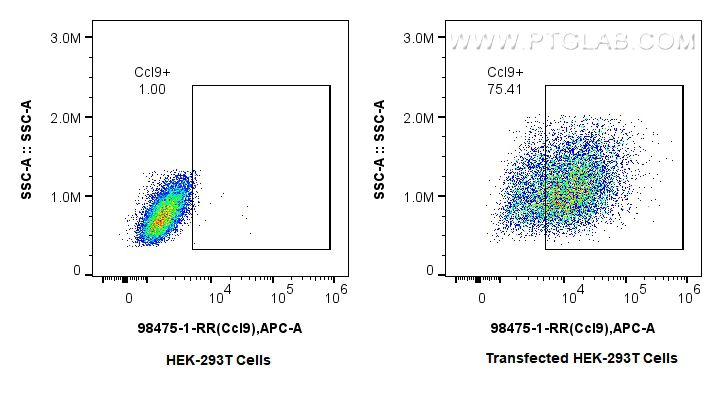 FC experiment of Transfected HEK-293T using 98475-1-RR