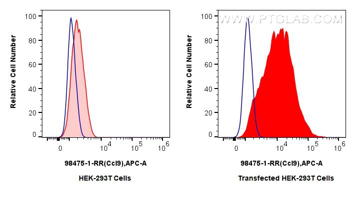 FC experiment of Transfected HEK-293T using 98475-1-RR