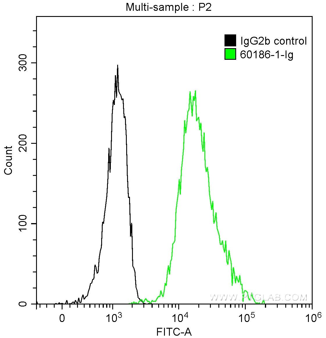 FC experiment of SH-SY5Y using 60186-1-Ig