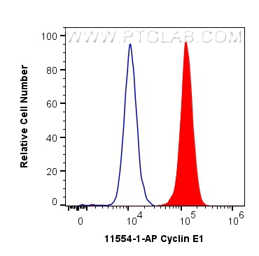 Cyclin E1