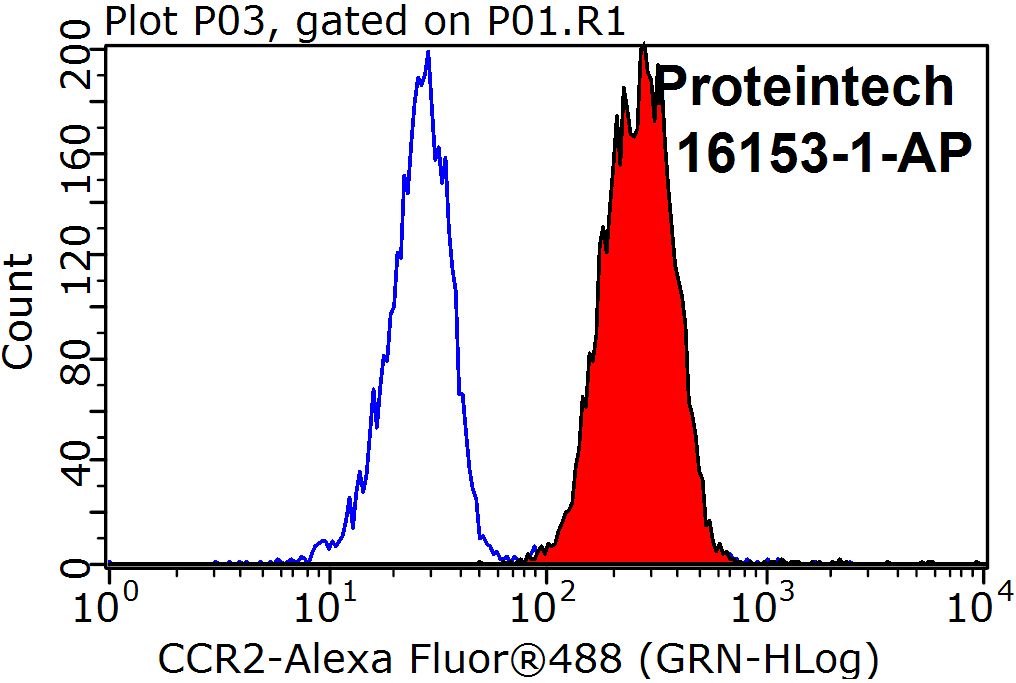 CCR2a-specific