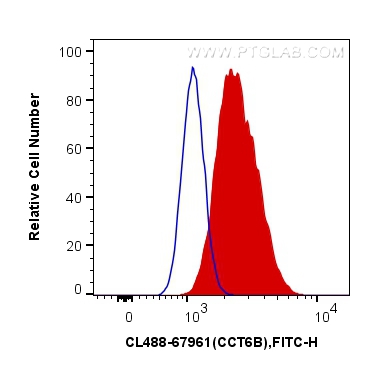 CCT6B