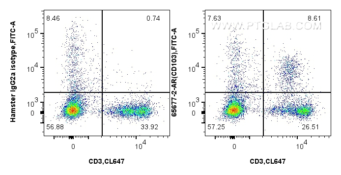 FC experiment of mouse splenocytes using 65677-2-AR