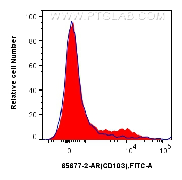 FC experiment of mouse splenocytes using 65677-2-AR