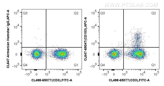 FC experiment of BALB/c mouse splenocytes using CL647-65047