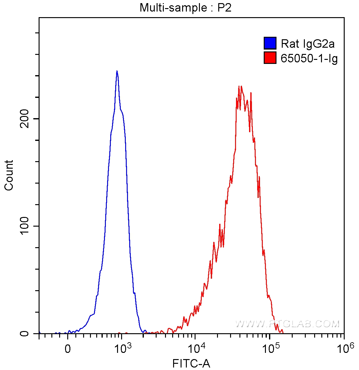 CD107a / LAMP1