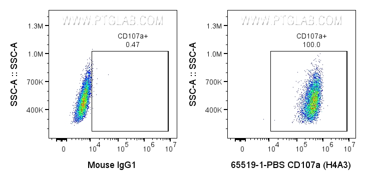 FC experiment of HeLa using 65519-1-PBS