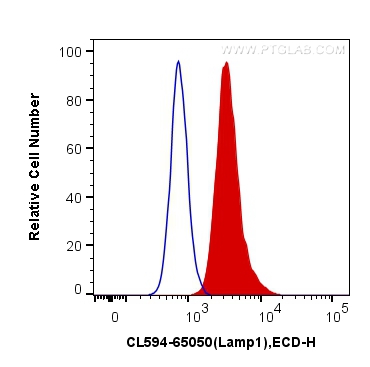CD107a / LAMP1